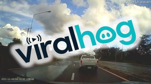 Car Hops The Median || ViralHog