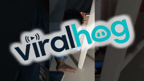 Roasting Marshmallows Indoors || ViralHog