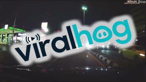 Driver Saves Scared Kitten From Traffic || ViralHog