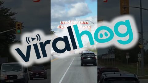 Car Uses Left Turn Lanes To Cut Traffic || ViralHog