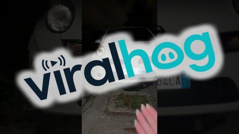 Car Drives Over Large Hole In Ground || ViralHog