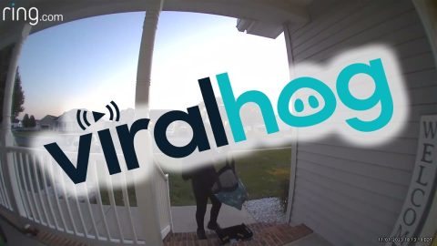 Trick-or-Treater Adds Candy to Empty Bowl || ViralHog