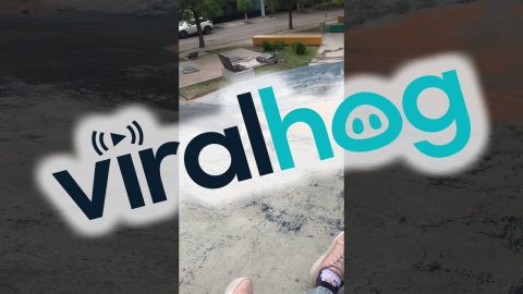 Dog Makes Her Own Fun at the Park || ViralHog