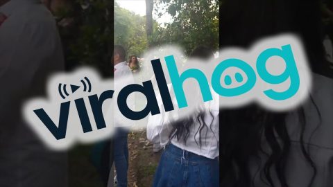 People Give Money to Street Vendor Who Dropped His Merchandise || ViralHog