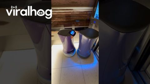Polite Man Helps Confused Robots Exit Elevator || ViralHog