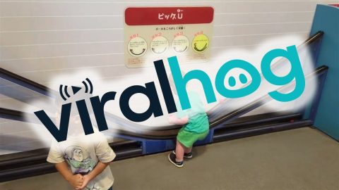 Boy Struggles to Grab Rolling Ball || ViralHog