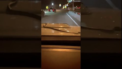 Snake Rides On Car Hood || ViralHog