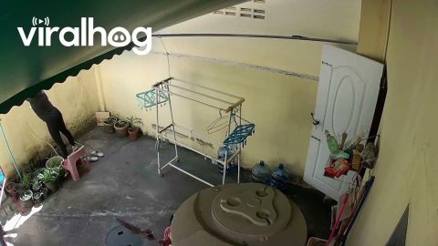Plastic Chair Breaks Under Woman || ViralHog
