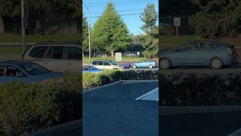 Woman Caught Faking a Hit-and-Run || ViralHog