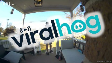 Mailman Lets One Rip During Delivery || ViralHog