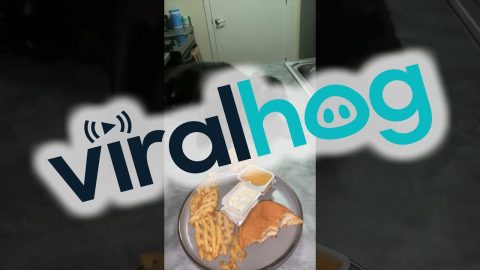 If He Takes The Fry Slowly Maybe It Won't Be Noticed || ViralHog