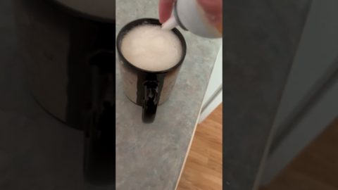Cats Think Whipped Cream Coffee Treat Is for Them || ViralHog