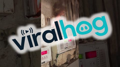 Chaotic Electricians At Work || ViralHog