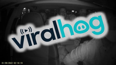Passenger Freaks After Driver Declines Drive-Thru || ViralHog