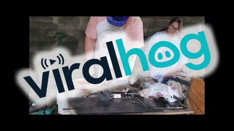 Using An Angle Grinder to Cut a Pizza || ViralHog
