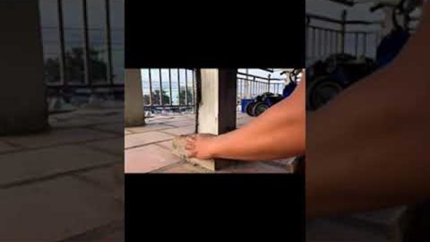 Bird Rescued From Post || ViralHog
