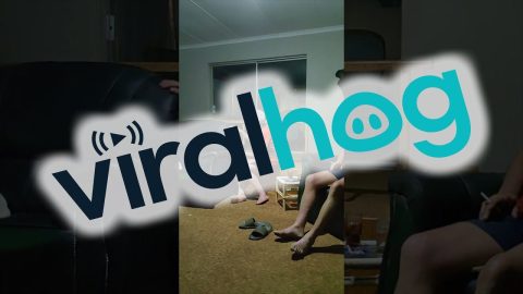 Man Startles His Family When He Walks Face First Into Sliding Glass Door || ViralHog