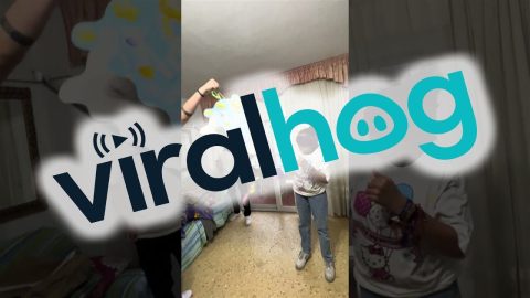 Birthday Girl Accidentally Hits Friend While Whacking Piñata || ViralHog