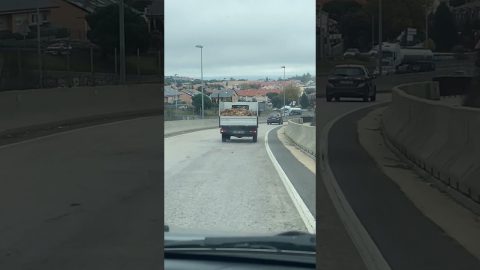 Leaves Fall From the Back of Truck || ViralHog