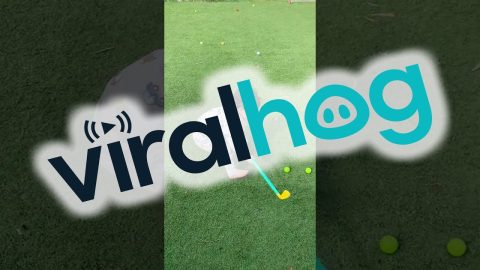 Boy Is a Future Field Hocky Player || ViralHog