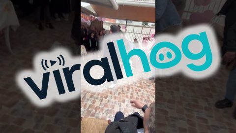 Going All Out to Win at Musical Chairs || ViralHog