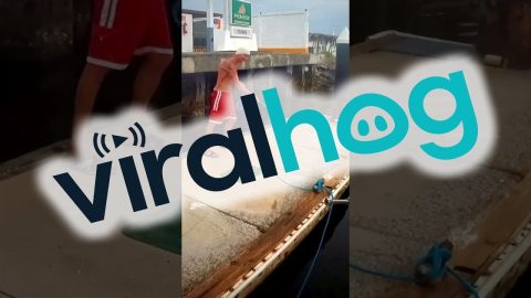 Smooth Boat Docking In San Blas || ViralHog