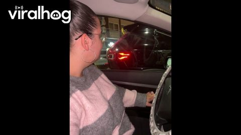 Car Window Won't Cooperate || ViralHog