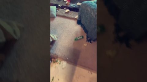 Dog Knows He Did Wrong But Is Still Happy to See Owner || ViralHog