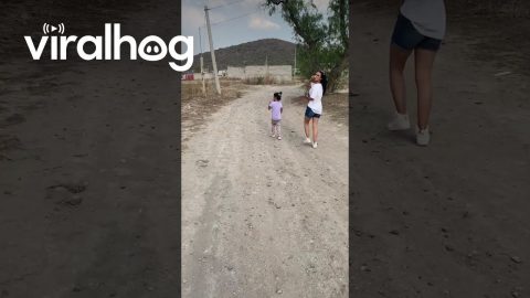 Daughter Doesn't Recognize Dad || ViralHog