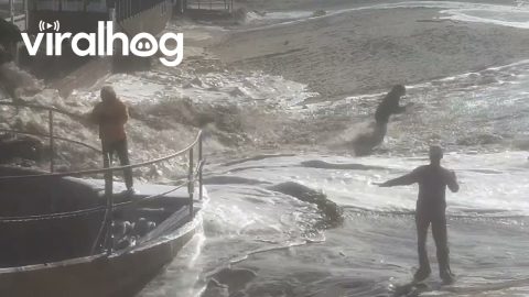Houses Below Sea Level Damaged By Stormy Water