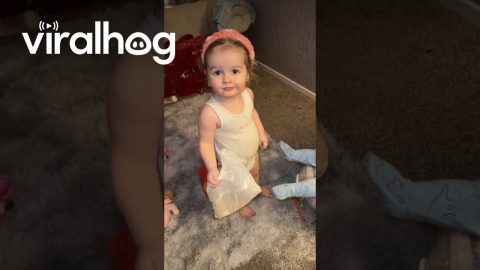 Daughter Gets Into A Mess || ViralHog