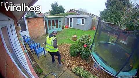 Chicken Chases Delivery Driver || ViralHog