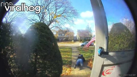 Ding-Dong Ditcher Faceplant Fail || ViralHog
