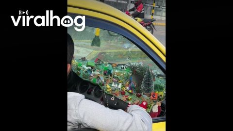 Taxi Driver Creates Complex Nativity Scene on Dashboard || ViralHog
