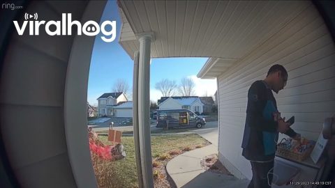Delivery Goodies Delight Driver || ViralHog
