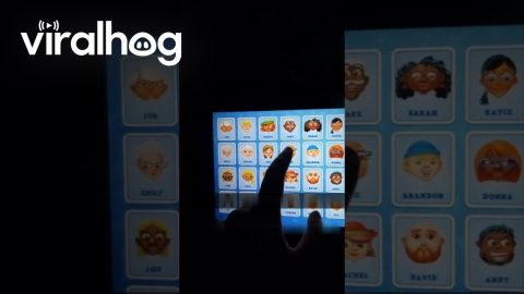 Cheating At Airplane Guess Who || ViralHog