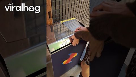 Recycling In Spain || ViralHog