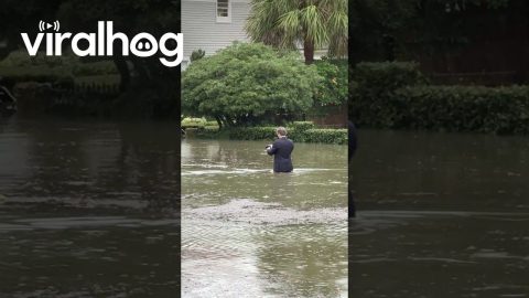 Fully Suited Man Wades Through Floodwater || ViralHog
