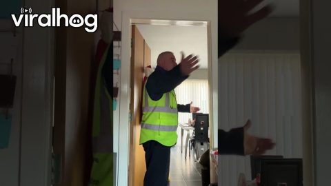 Man Mad At Christmas Decorations In November || ViralHog