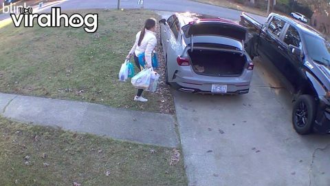 When You Gotta Use Your Head to Get All the Groceries Inside || ViralHog