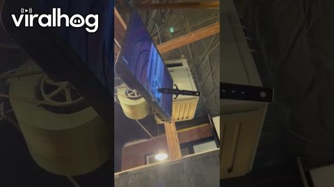 Knife Thrower Misses The Mark || ViralHog