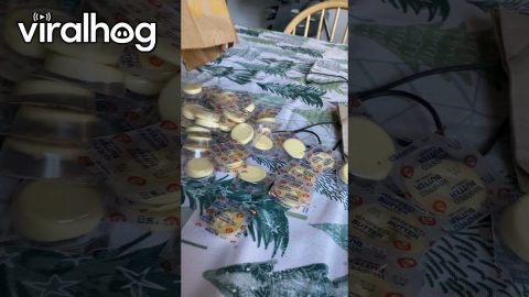 McDonald's Really Delivers on Request for Extra Butter || ViralHog
