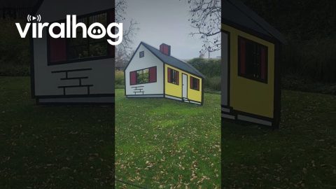 National Sculpture Garden Optical Illusion || ViralHog