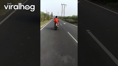 Bird Takes a Liking to Motor Biker || ViralHog
