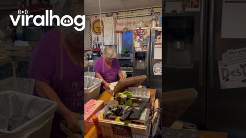 Pregnancy Announced After Ten Years Of Trying || ViralHog