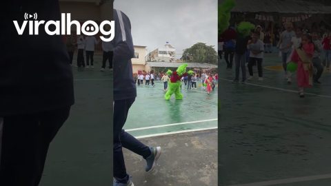 Grinch Slips and Falls || ViralHog