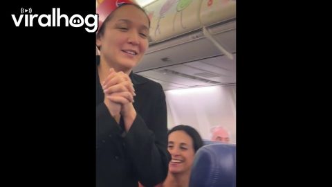 Flight Attendants Create A Special Surprise || ViralHog