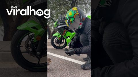 Biker Shares Snacks With Squirrel || ViralHog