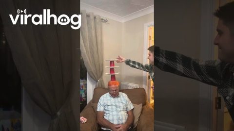 Family Plays a Game on Sleeping Grandpa || ViralHog