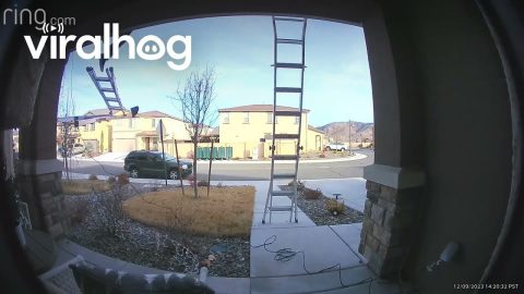 Man Falls From Roof and Deftly Rolls Into His Landing || ViralHog